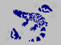 Gila Monster - Shadow Box