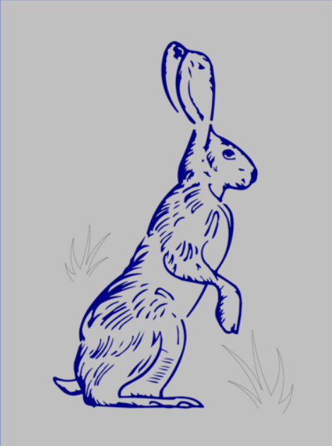Jackrabbit - Shadow Box